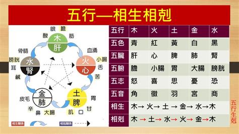 火剋金感情|五行相生相剋3大重點｜了解五行，改善生活大小 